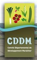 logo_CDDM